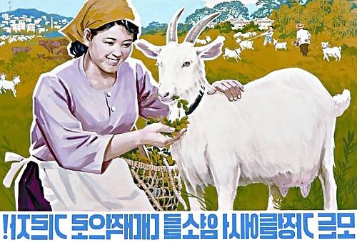 10P North Korean Posters, quite interesting ...