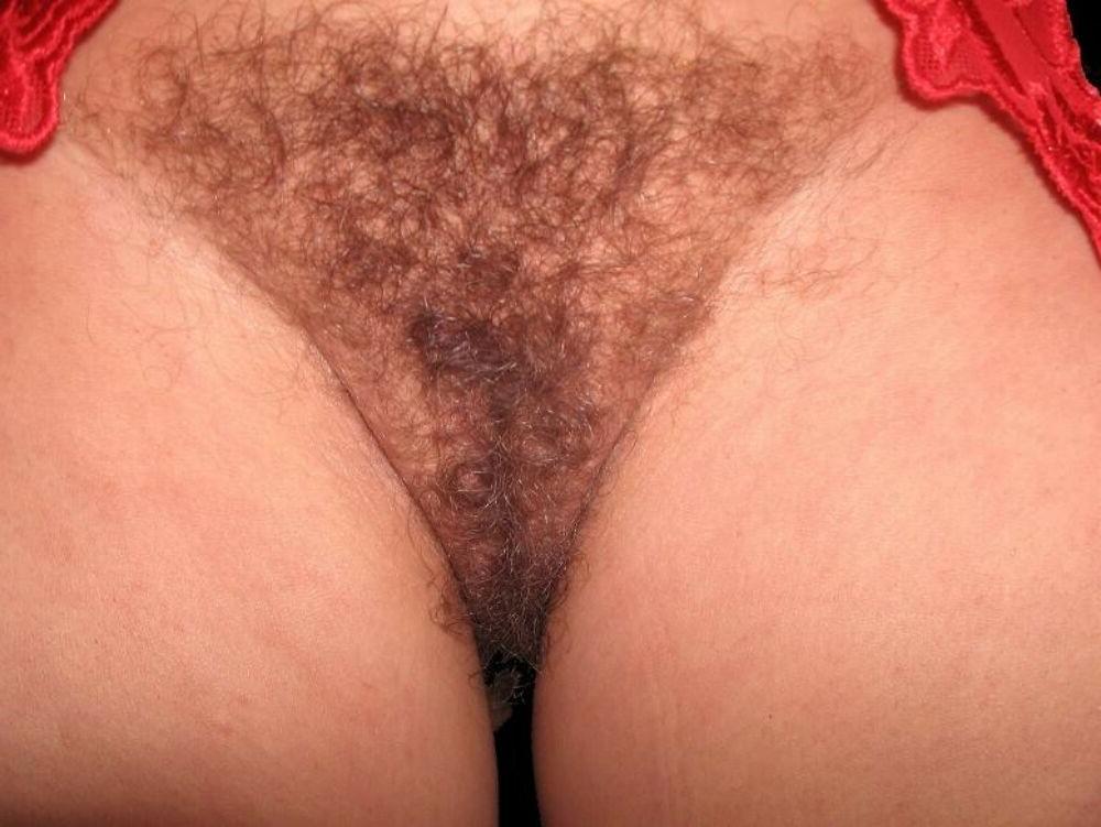 15P Hairy pussy gfs posing and fucking