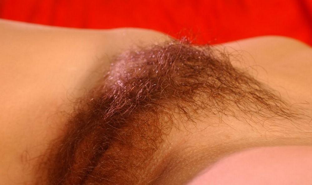 15P Hairy pussy gfs posing and fucking