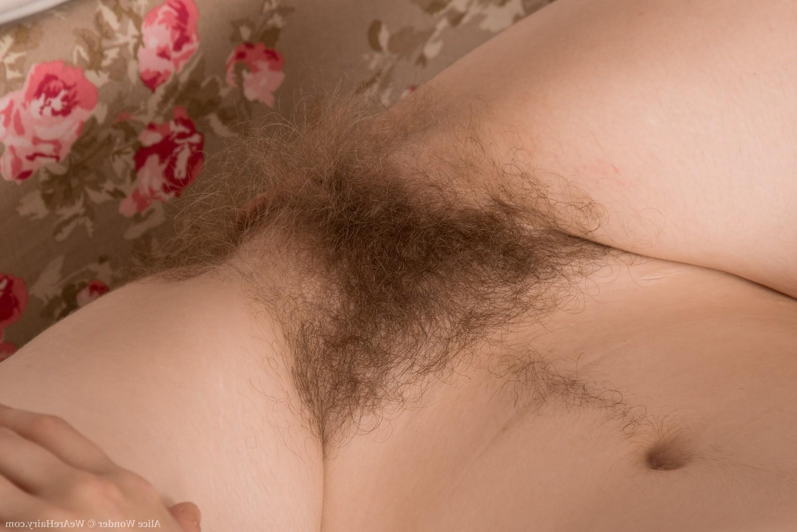 16P Alice Wonder strips and shows off her hairy body