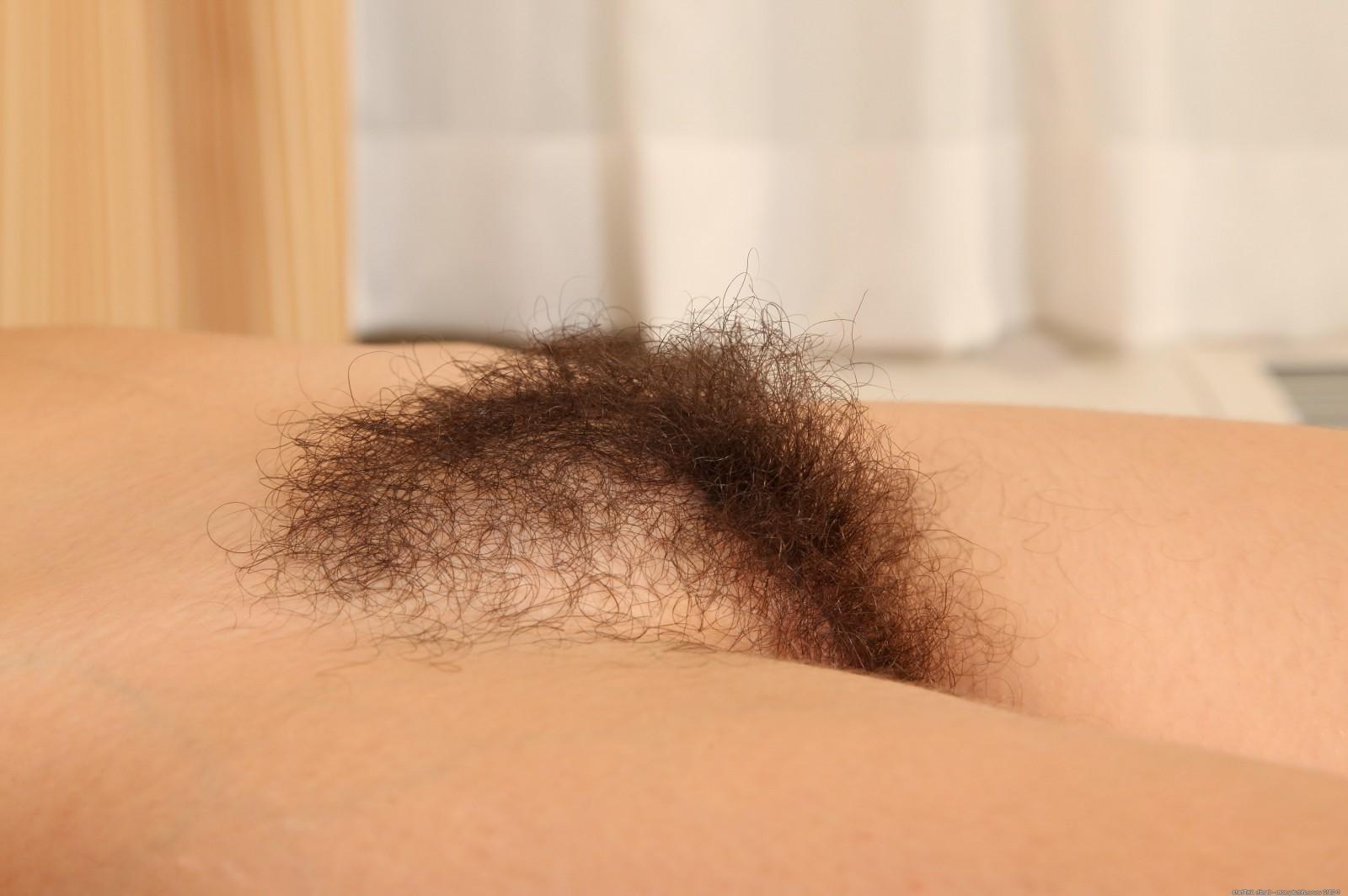 15P Hirsute natural amateur teasing in panties