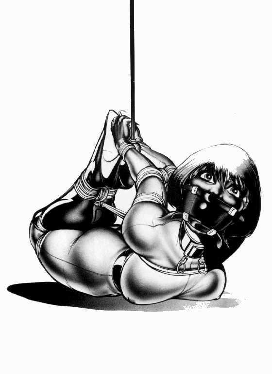 15P classic masterpieces of female rope bondage art