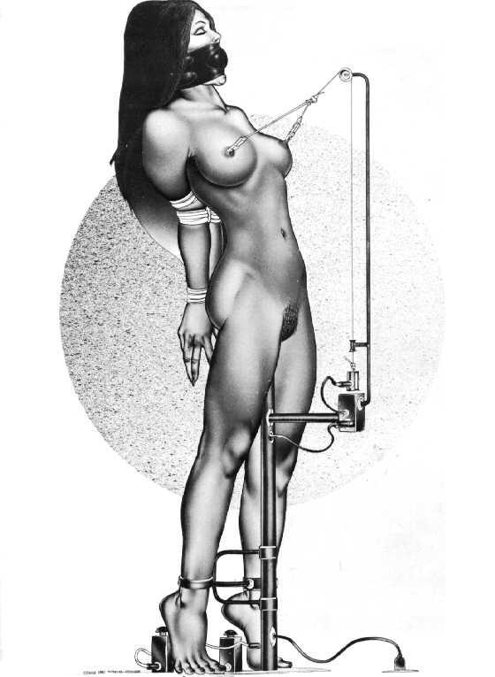 15P classic masterpieces of female rope bondage art