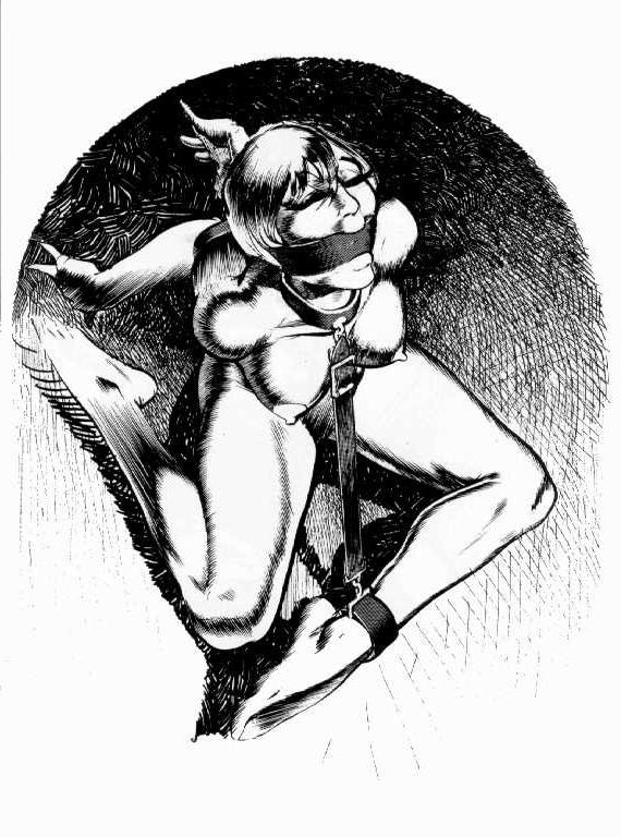 15P classic females in rope bondage bizarre and painful art