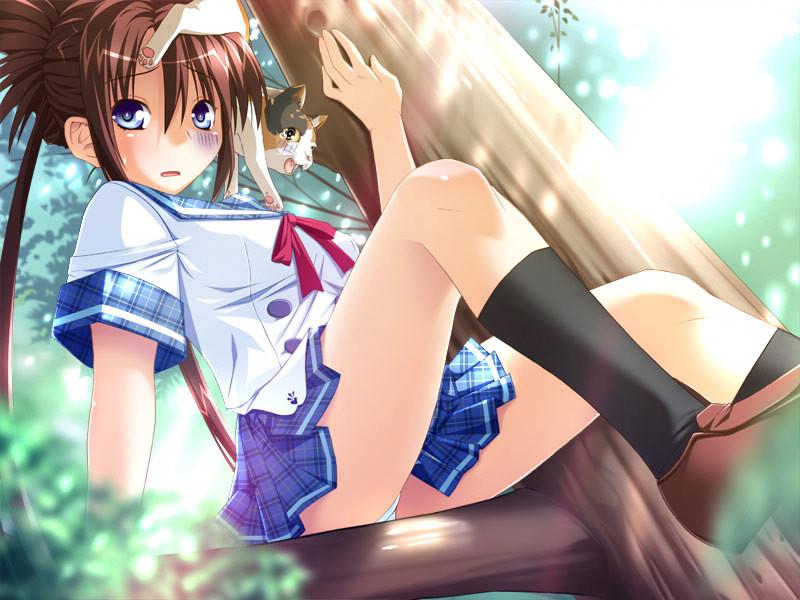 20P Popular hentai popstars singing dancing and masterbating