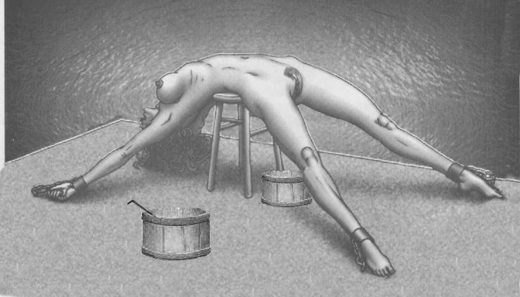 15P beautiful painful nipple chains bdsm art