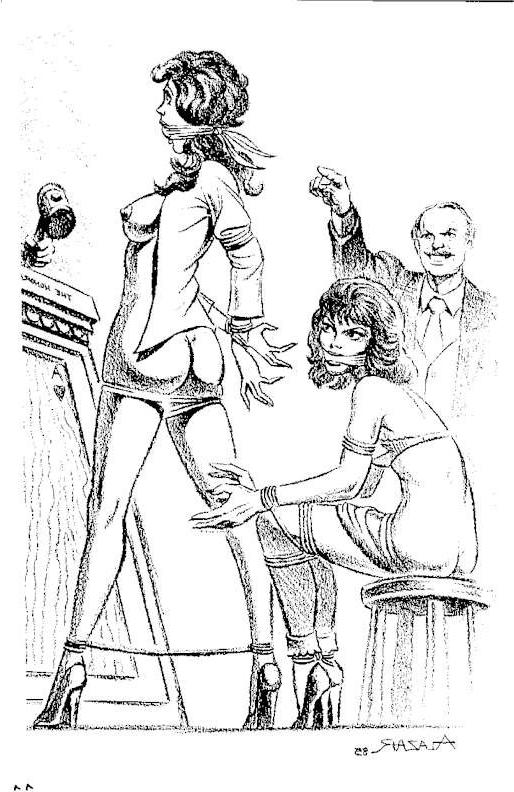 15P classic female hard rope bondage art