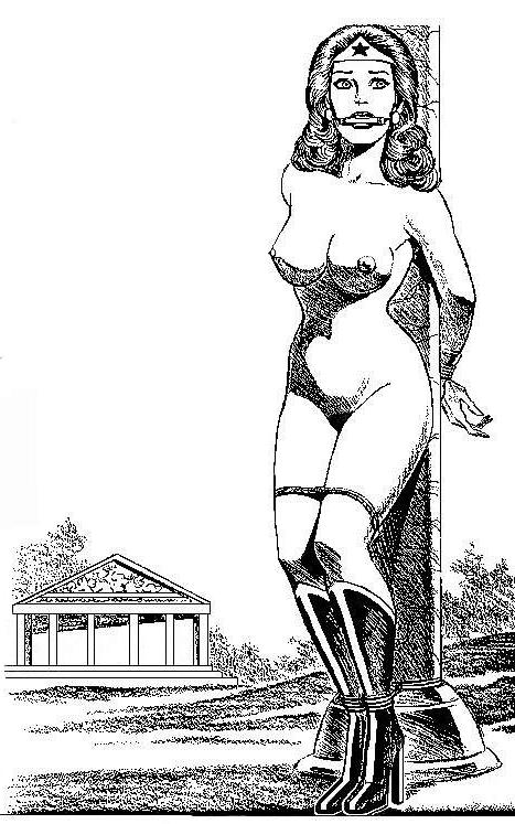 15P classic female hard rope bondage art