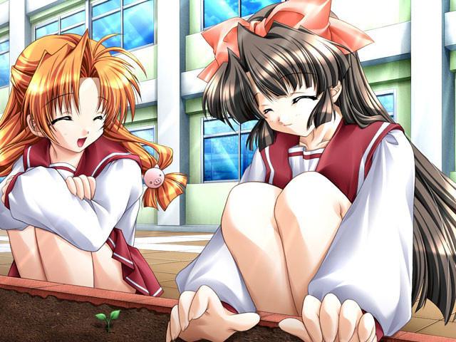 19P Collection of young hentai chicks in their skirts and underwear