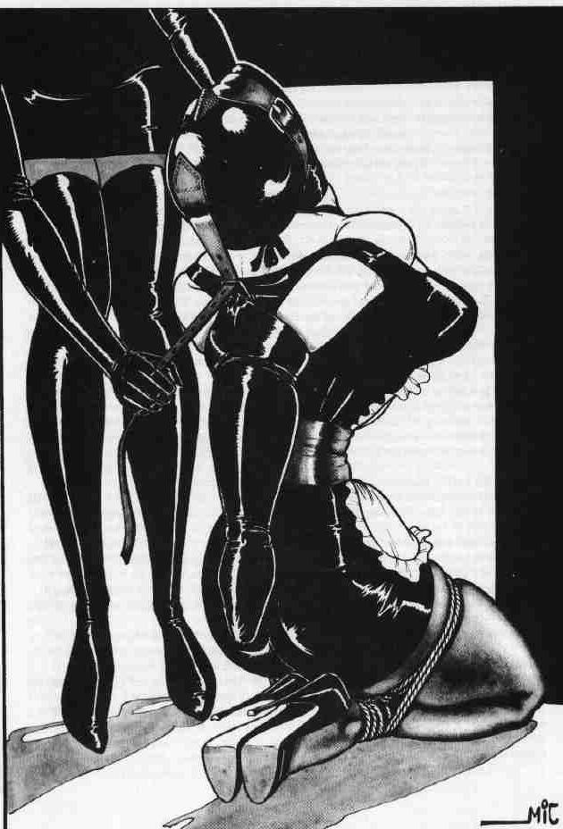 15P classic insane female rope bondage art