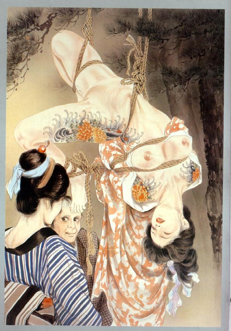 15P classic Japanese bondage paintings