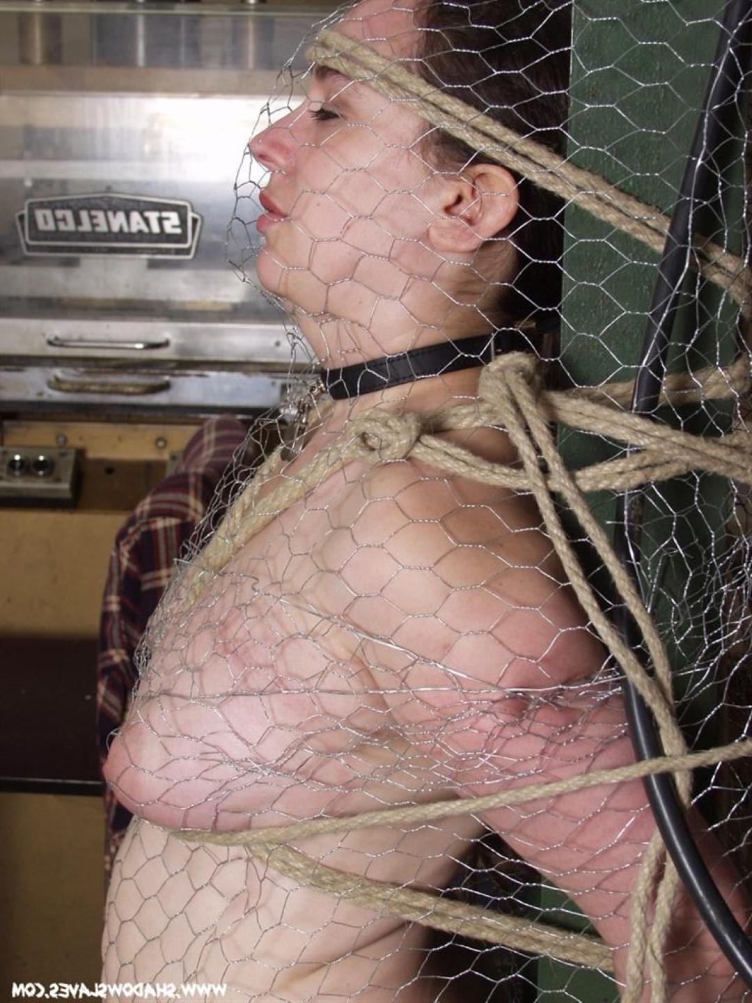 16P BBW subbie Nimue is tied up with chicken wire