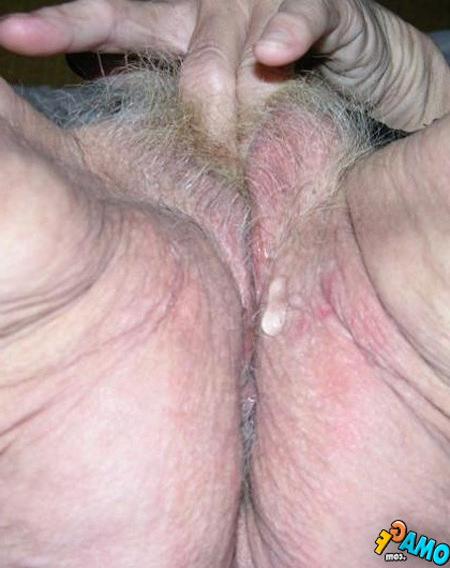 16P bbw and chubby grannies