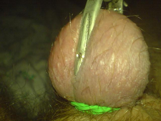 12P Urethral Play