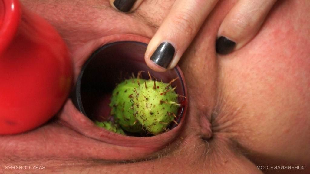16P Queensnake inserts a bunch of baby conkers up her vagina