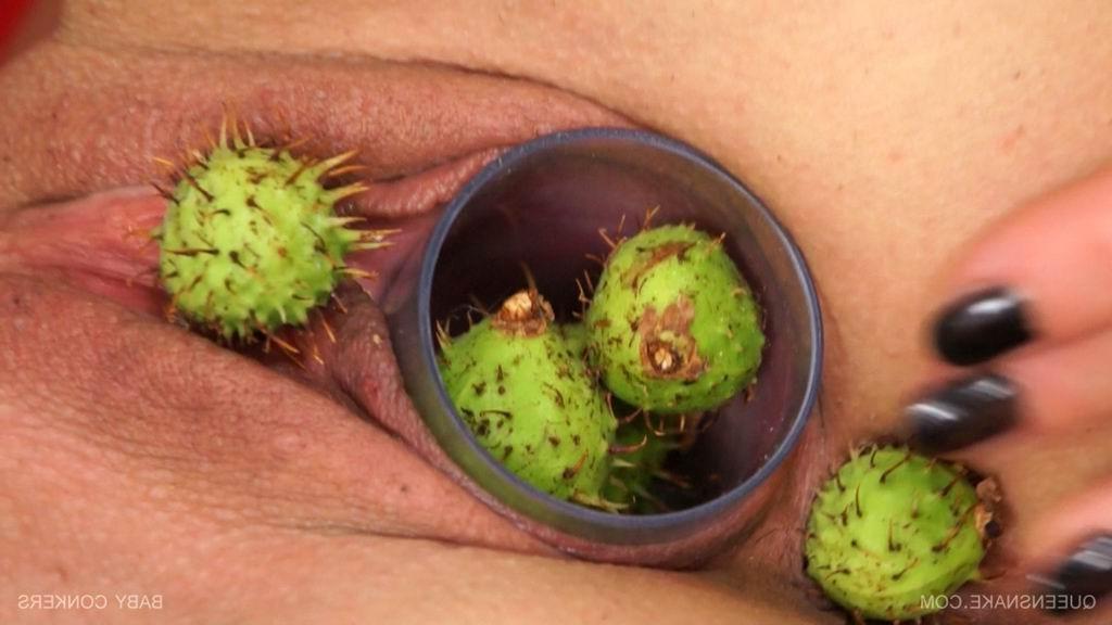 16P Queensnake inserts a bunch of baby conkers up her vagina