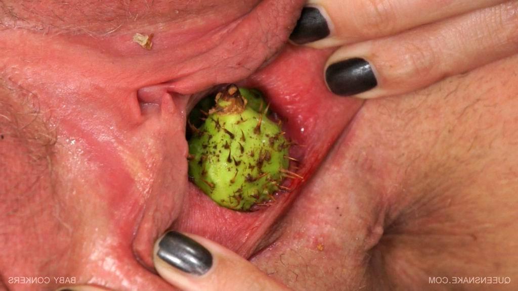 16P Queensnake inserts a bunch of baby conkers up her vagina