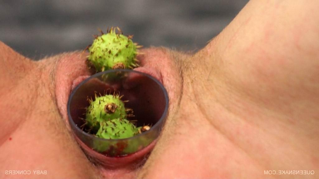 16P Queensnake inserts a bunch of baby conkers up her vagina