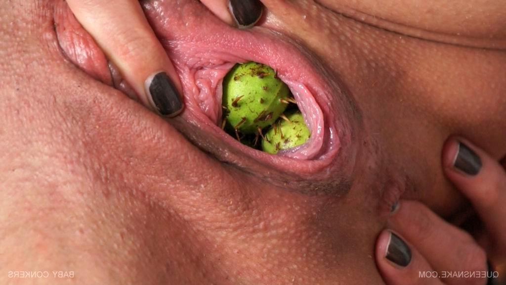 16P Queensnake inserts a bunch of baby conkers up her vagina