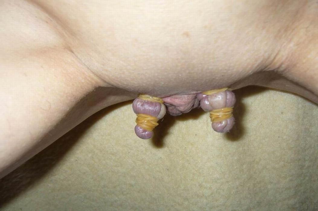 18P Pussy lips extreme bondage