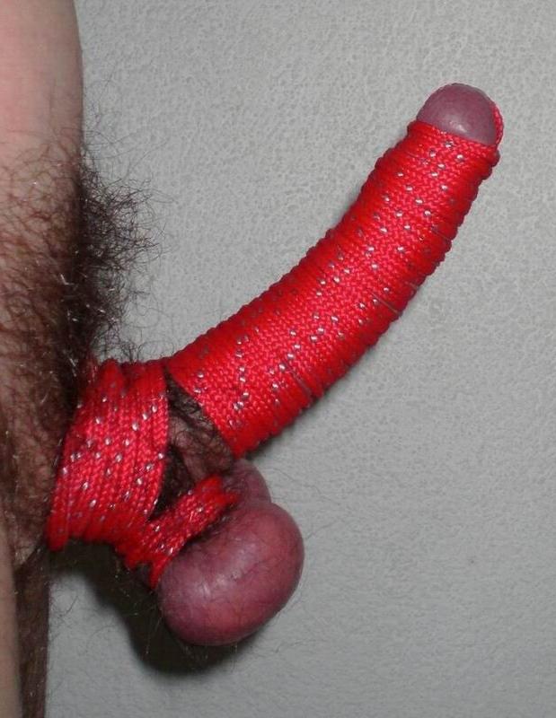 16P extremely tortured dicks