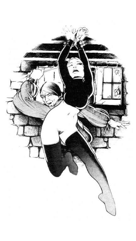 15P classic bondage females tied with ropes artwork