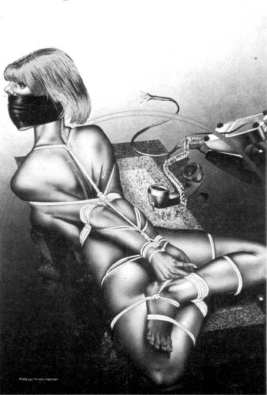 15P classic bondage females tied with ropes artwork