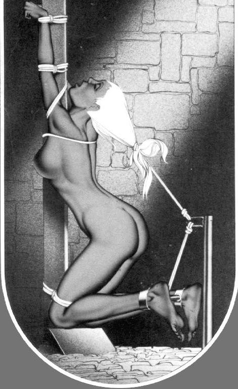 15P classic bondage females tied with ropes artwork
