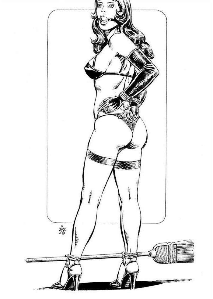 15P classic female bondage artworks