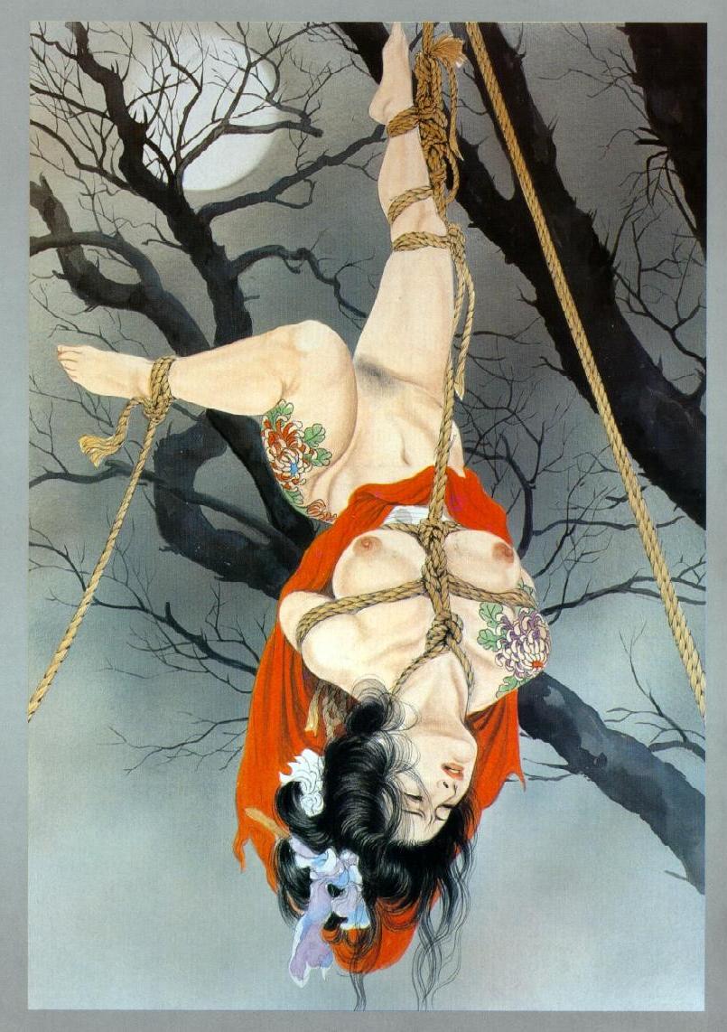 15P classic Japanese rope bondage art
