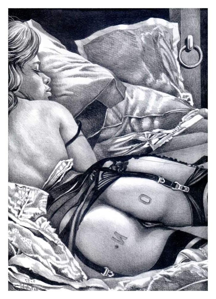 15P Dubigeons bondage and fetish art