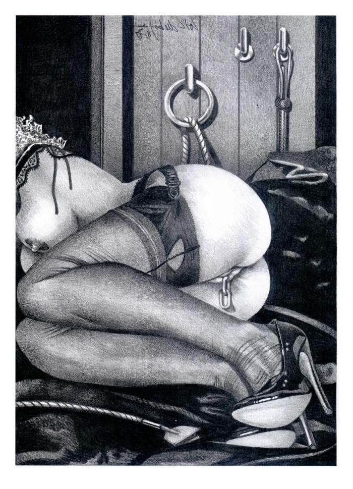 15P Dubigeons bondage and fetish art