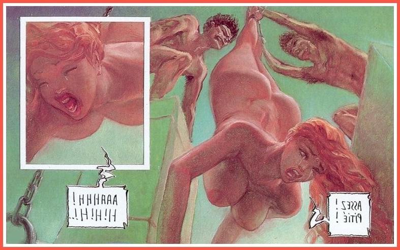 15P strange French bondage comic