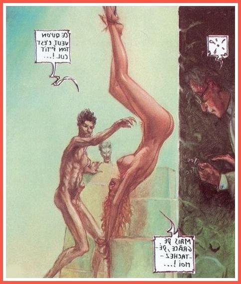 15P strange French bondage comic