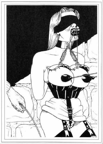 15P nipple and breast bondage art