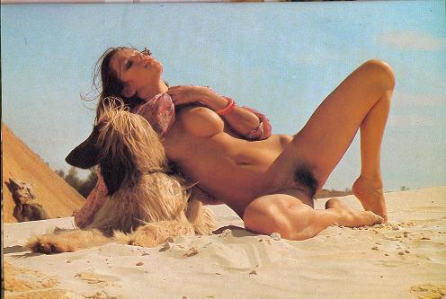 12P Classic pornstar Brigitte Lahaie fucked in vintage porn pictures