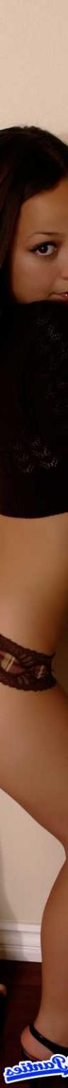 18P Daisy brown lace briefs 