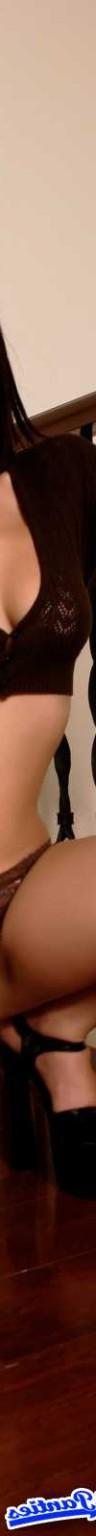 18P Daisy brown lace briefs 