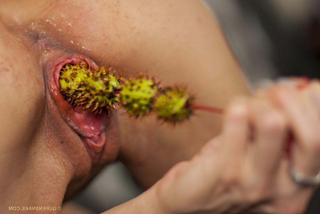 16P extreme pussy insertions