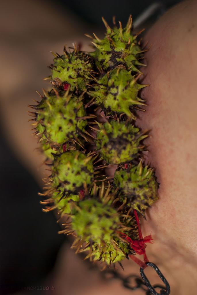 15P extreme pussy insertions
