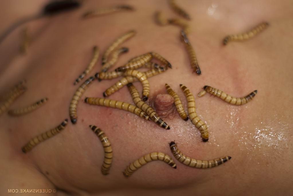 16P skinny woman inserts worms up her vagina