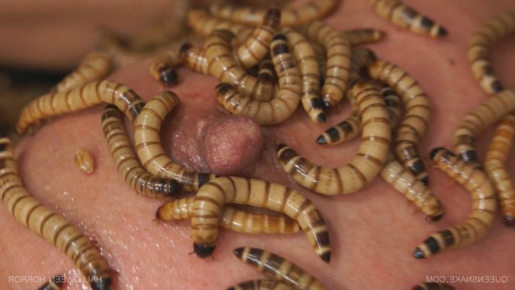 16P skinny woman inserts worms up her vagina