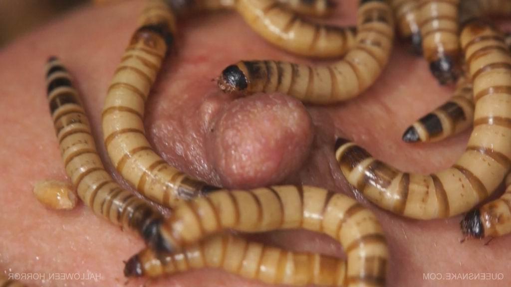 16P skinny woman inserts worms up her vagina