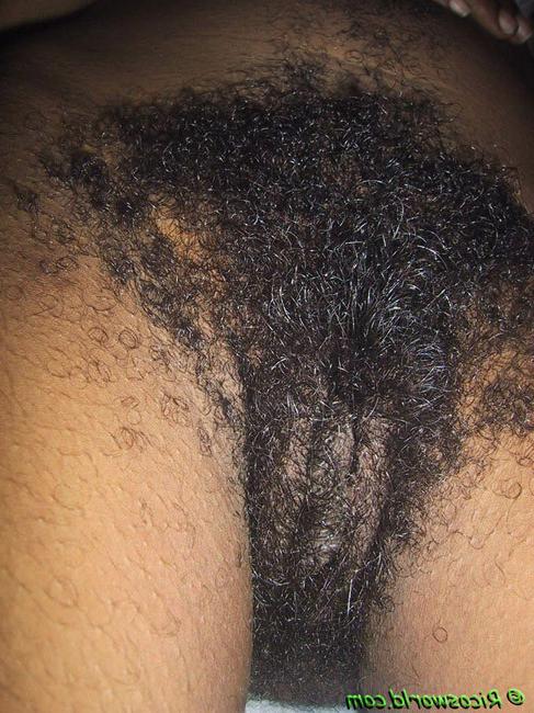 15P Very hairy black girls