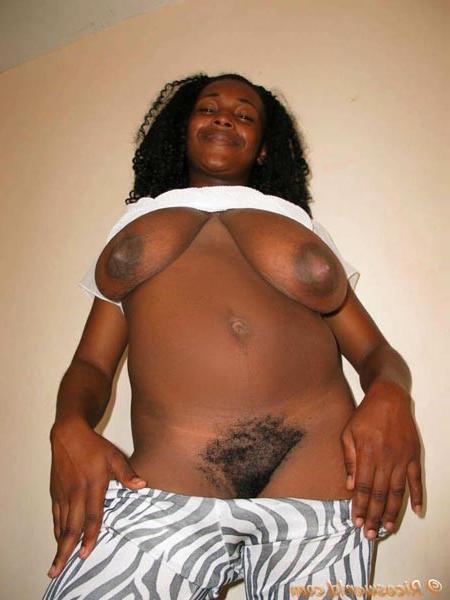 15P Hairy Caribbean black chicks