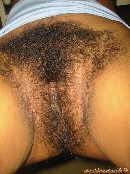15P Hairy Caribbean black chicks
