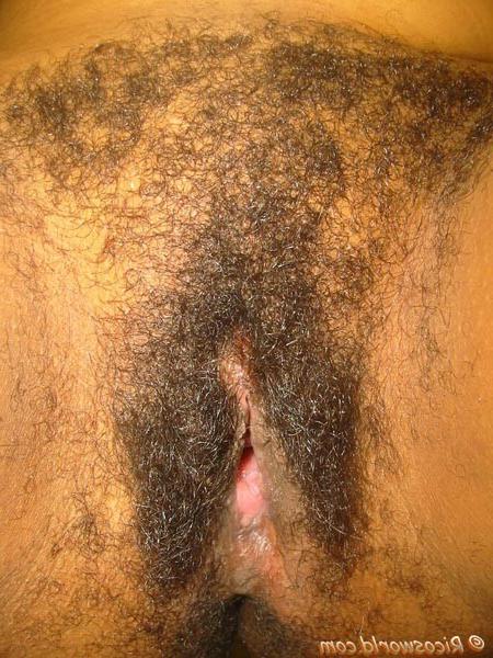 15P Hairy Caribbean black chicks