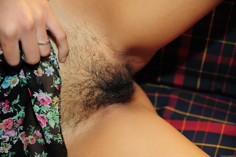 15P Stunning Hairy Brunette Babe Spreads Her Legs And Pussy