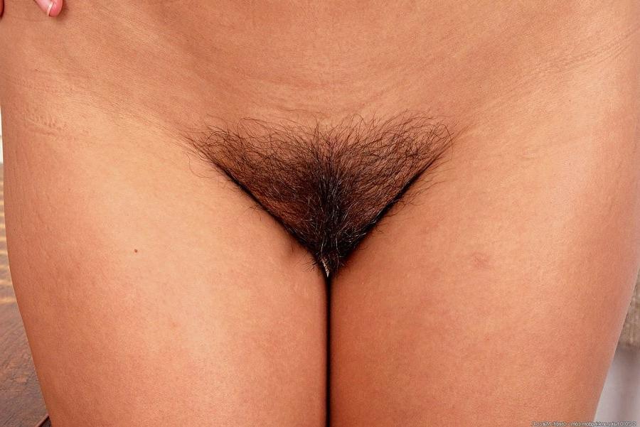 15P Beautiful Hairy Amateur Gal With Brunette Pigtails