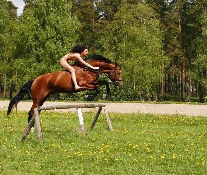 18P Horse riding